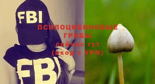 амф Покров