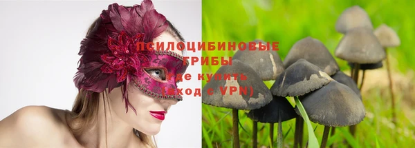амф Покров