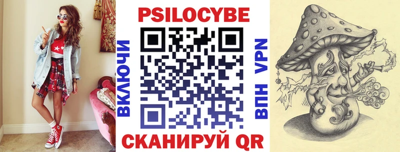где купить наркоту  Спас-Деменск  Галлюциногенные грибы Cubensis 